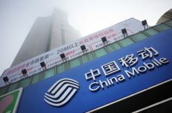 (使用手册)省直辖单位_哔哩哔哩-2